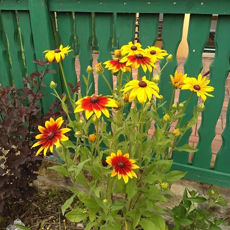 Rundblick Im Elbsandsteingebirge Bei Bad Schandau 4* Rathmannsdorf