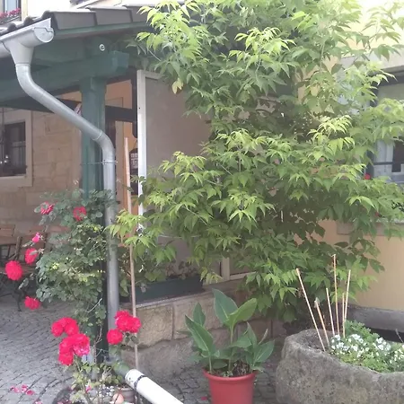 Rundblick Im Elbsandsteingebirge Bei Bad Schandau