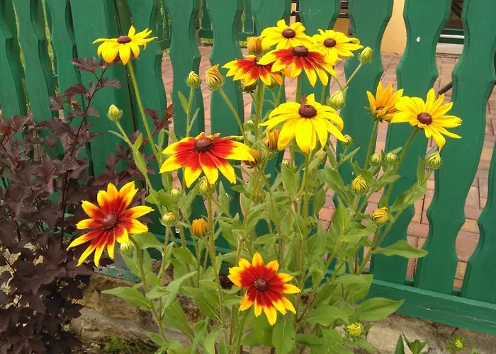 Rundblick Im Elbsandsteingebirge Bei Bad Schandau 4* Rathmannsdorf