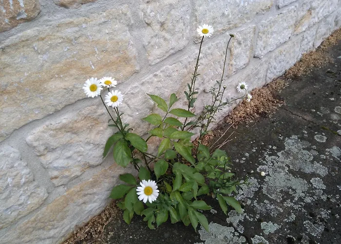 Rundblick Im Elbsandsteingebirge Bei Bad Schandau بيت ضيافة Rathmannsdorf
